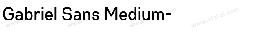 Gabriel Sans Medium字体转换